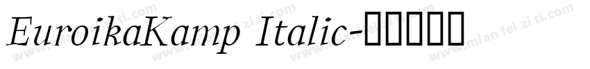 EuroikaKamp Italic字体转换